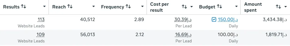 Meta Ads: 113 and 109 qualified leads
